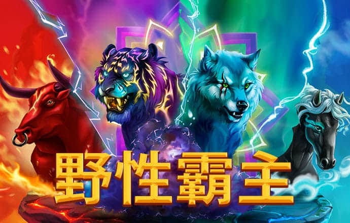 944cc天下赢彩线路入口3